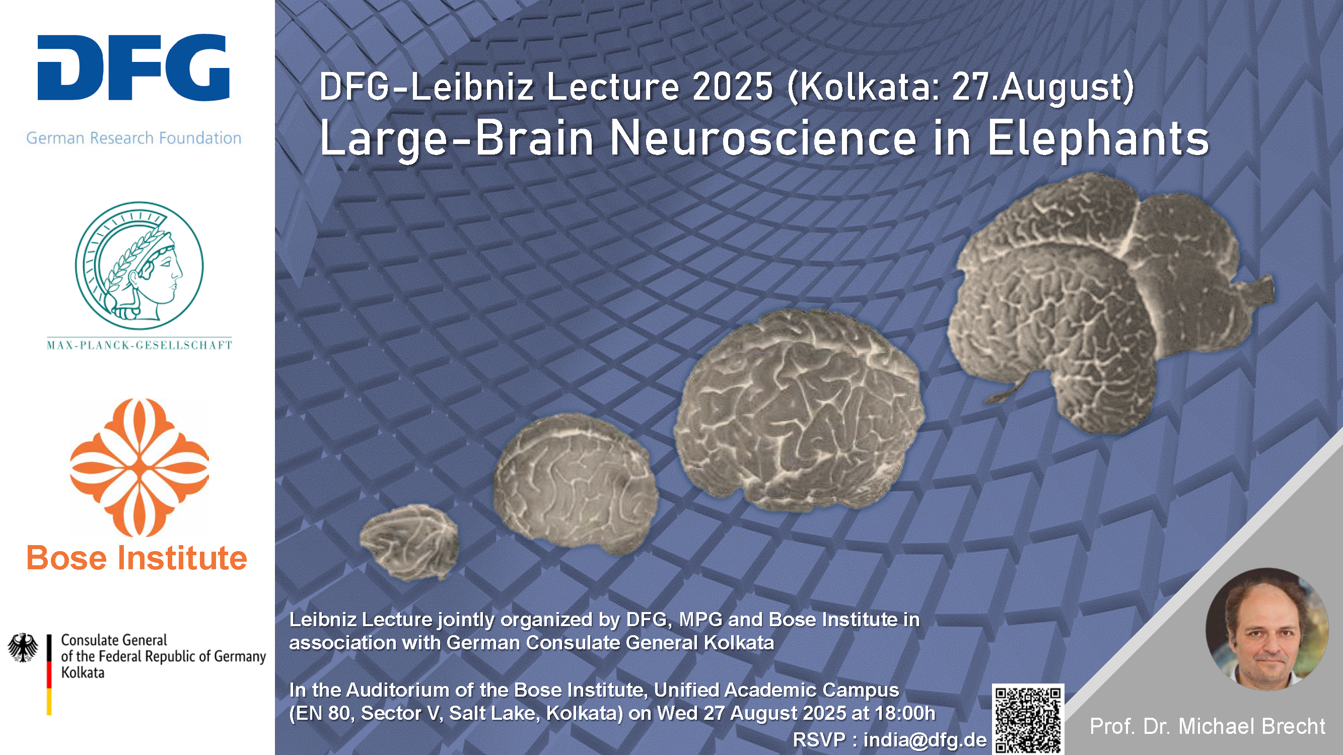 Several brains of different sizes are shown below the text on blue, curved rectangular shapes. A portrait of Prof. Dr. Michael Brecht is inserted in the left corner. The organizations (DFG, Max Planck Society, Bose Institute, and Consulate General in Kolkata) are listed on the left.