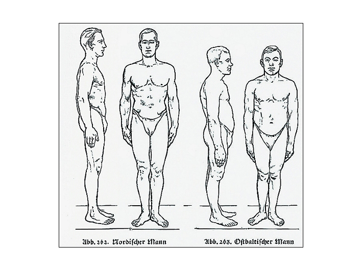 Aus Hans F. K. Günthers „Rassenkunde des deutschen Volkes“ von 1930