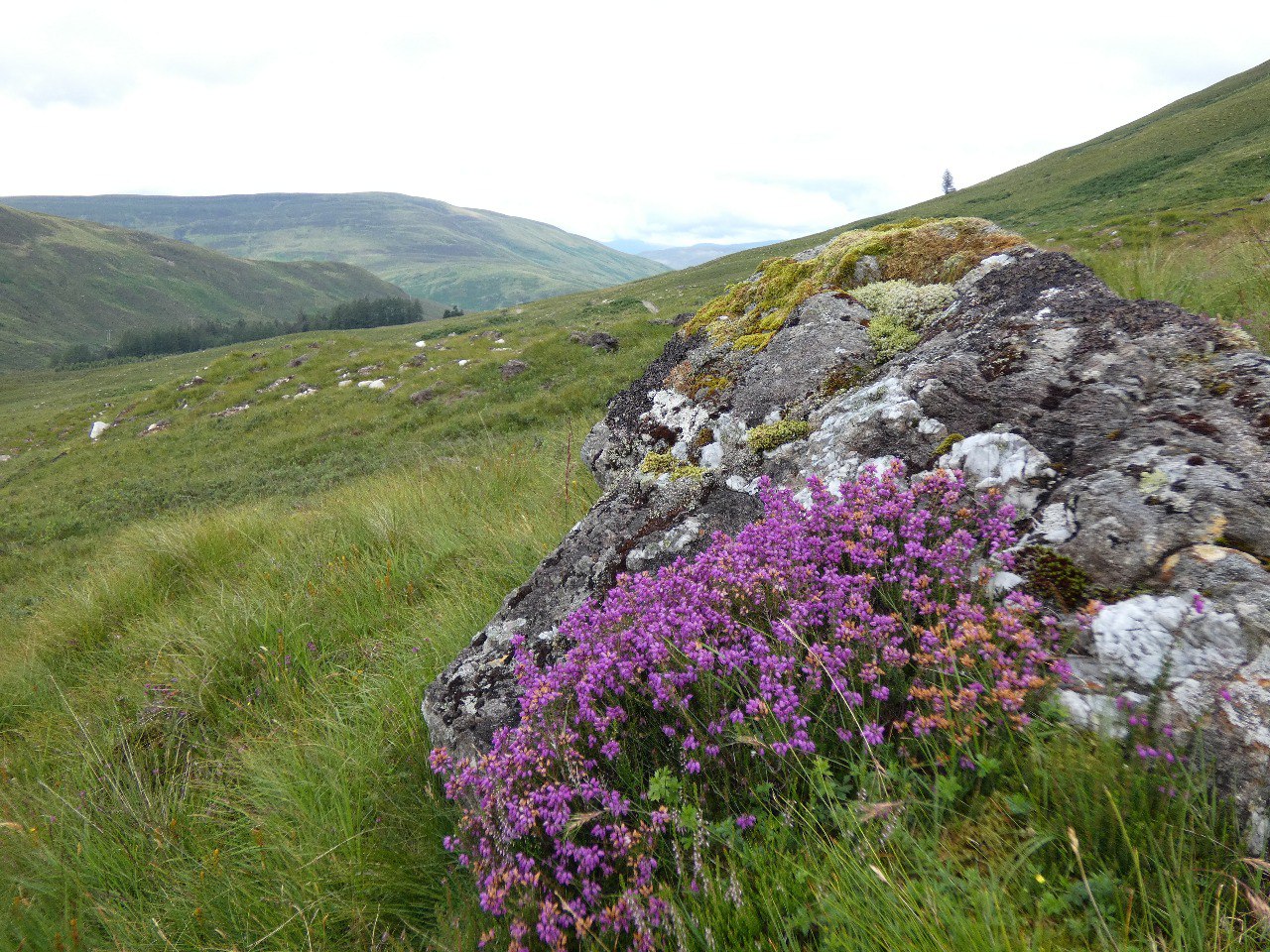 Scotland: landscape