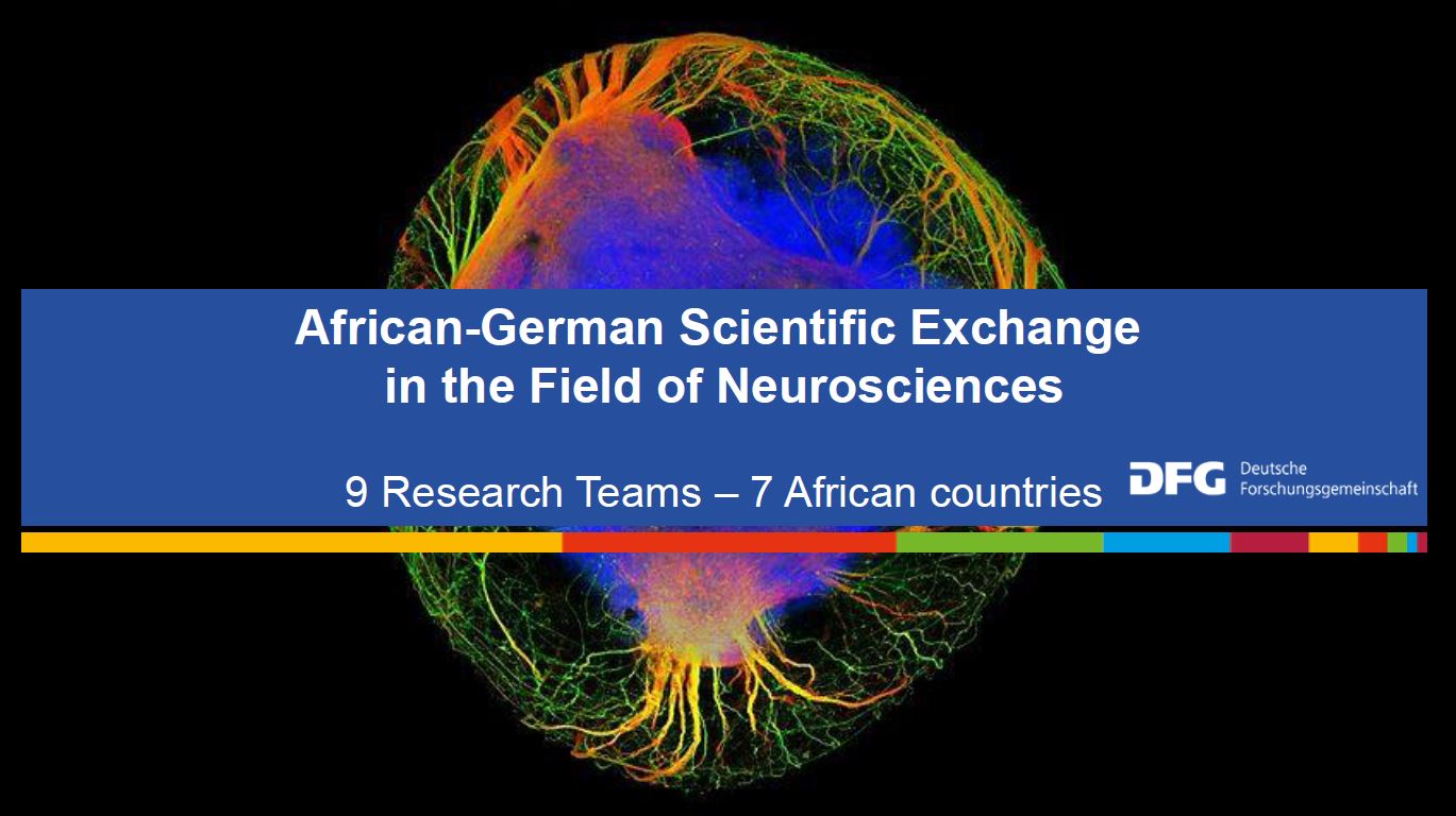 ifw_afrikanisch_deutscher_austausch_neurowissenschaften